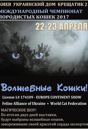Международный Чемпионат Породистых Кошек 2017