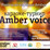 Amber Voice – ежемесячный караоке-турнир