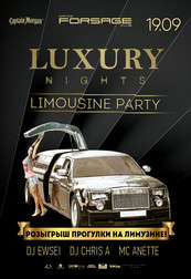 Luxury nights. Limousine party