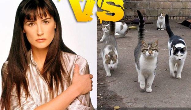 Деми Мур VS Коты