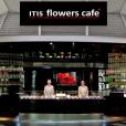 ITIS Cafe (Итис Кафе)