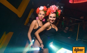 День весны в DJBAR!