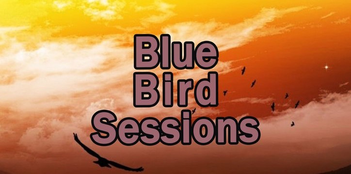 BLUE BIRD SESSIONS. Душевный вечер.