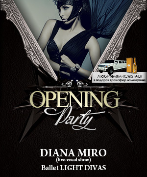 OPENING PARTY