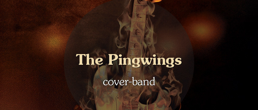 Группа "The Pingwings"