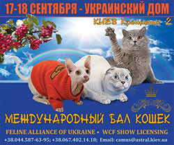 Международная выставка кошек
