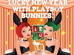 В Lucky Pub - Lucky Bunnie's Year