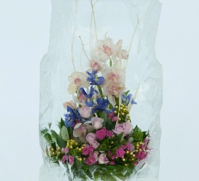 Выставка цветов Снежной Королевы