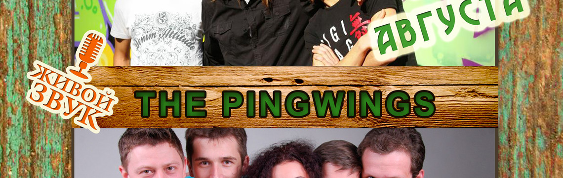 Группа "The Pingwings"
