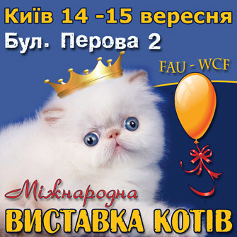 Международная выставка котов