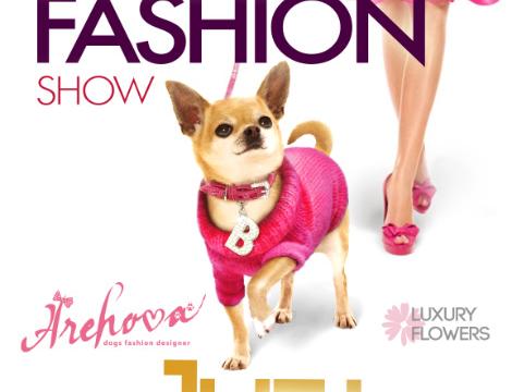 Dogs fashion show