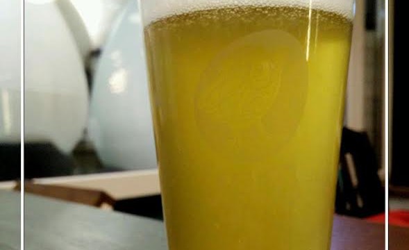 Дегустация крафтового пива «Ципа Пілснер» у «Pilsner чесшская господа»