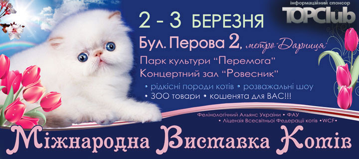 Международная выставка котов