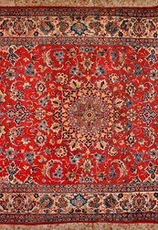 Среда обитания