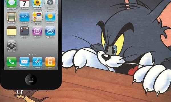 iPhone & iPad для котов