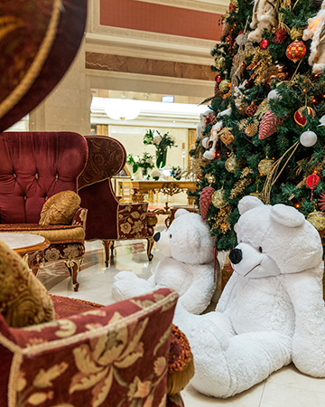 Где отметить Новый Год 2017: ресторан Терракота в отеле Премьер Палас