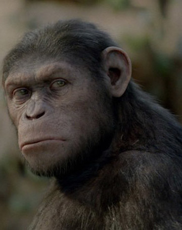 Фильм недели: «Восстание планеты обезьян»