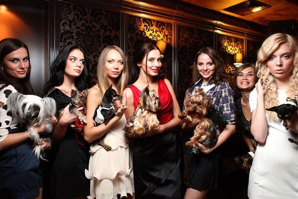 В Украине объявлен первый бренд одежды для собак