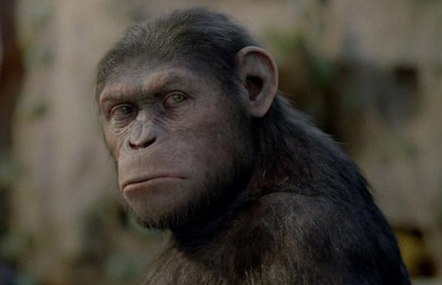 Фильм недели: «Восстание планеты обезьян»