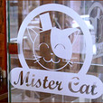 Мистер Кет на Шулявке №2 (Mister Cat)
