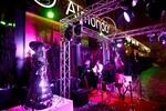 Almondo Night Party Bar